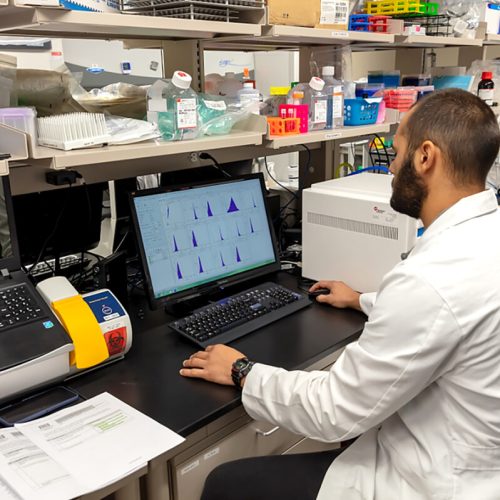 MicrosoftTeams-image (13)