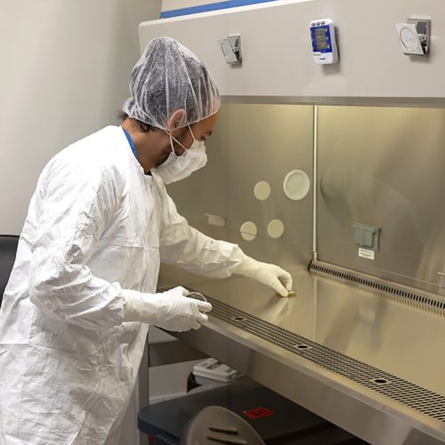 MicrosoftTeams-image (14)