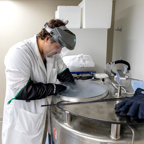 MicrosoftTeams-image (16)