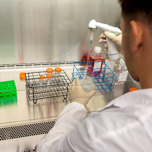 MicrosoftTeams-image (17)